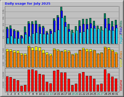 Daily usage for July 2025