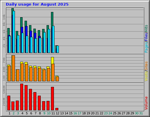 Daily usage for August 2025