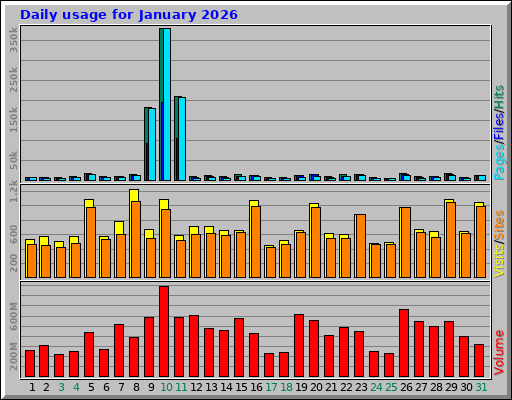 Daily usage for January 2026