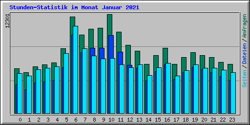 Stunden-Statistik im Monat Januar 2021