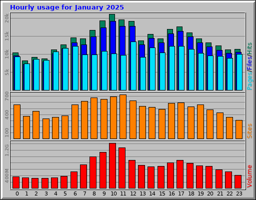 Hourly usage for January 2025