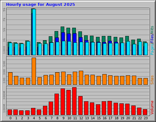 Hourly usage for August 2025