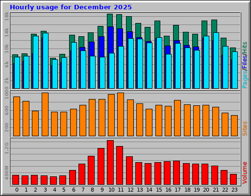 Hourly usage for December 2025