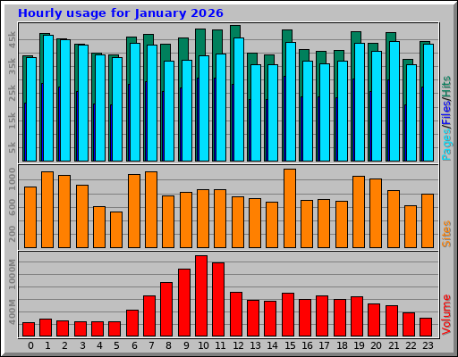 Hourly usage for January 2026